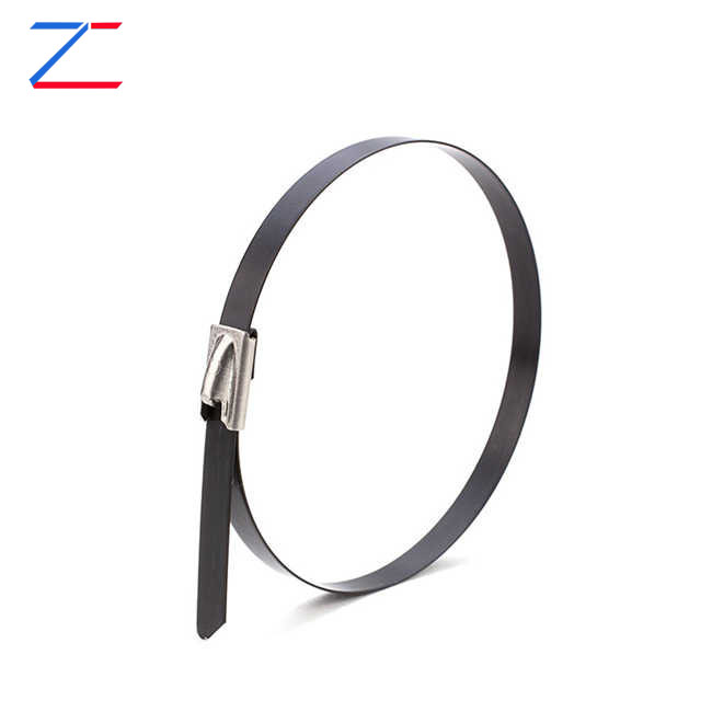 Por que escolher abraçadeiras de aço inoxidável revestido?